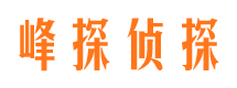 青白江市婚外情调查